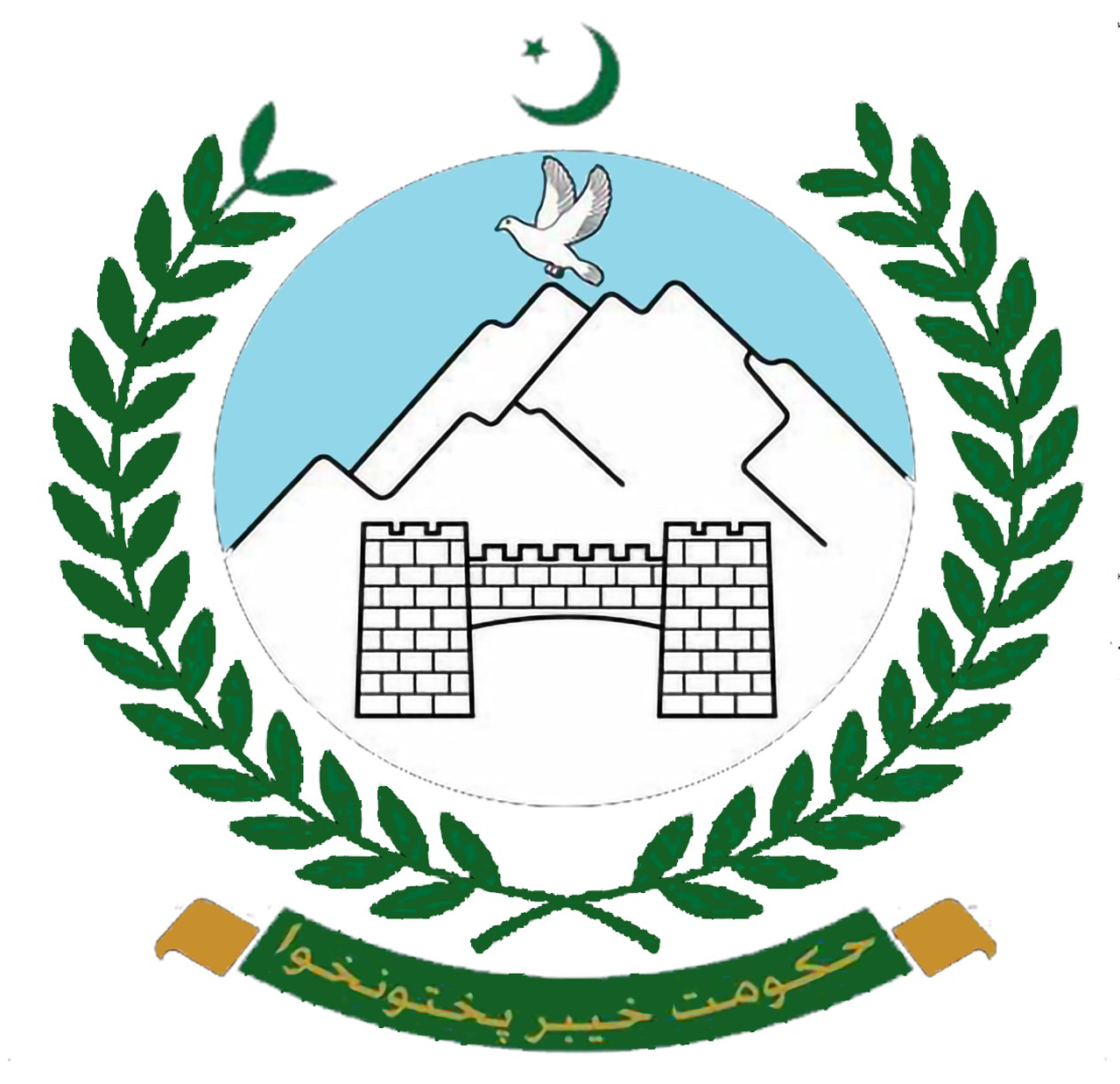 The Health Department of the Government of Khyber Pakhtunkhwa (KP), Pakistan, aims to provide accessible, equitable, and quality healthcare to all citizens