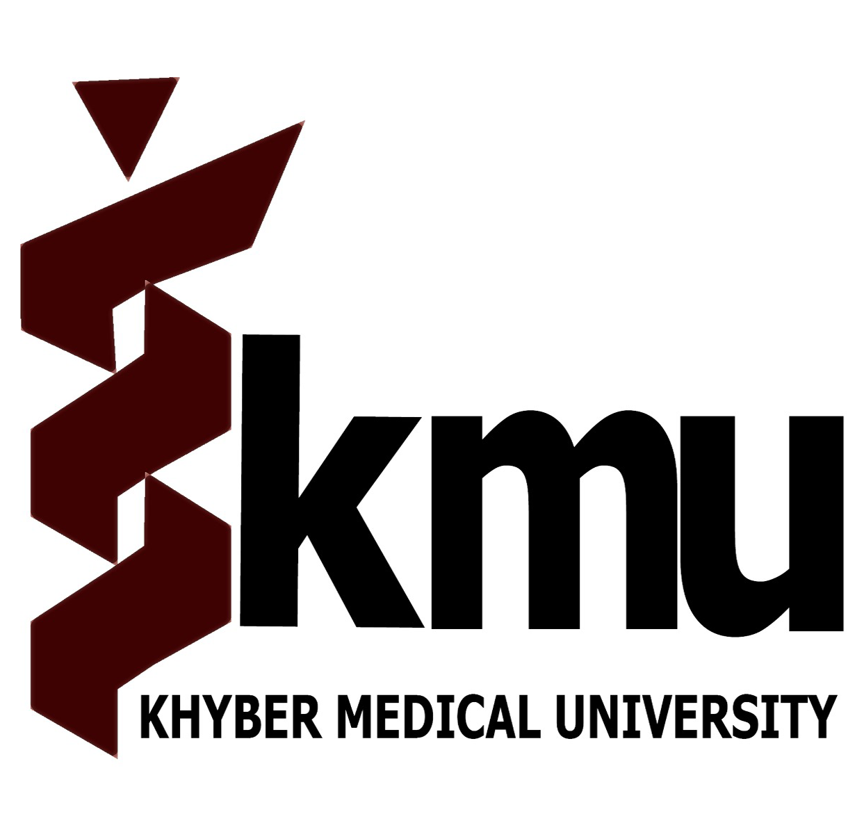 Khyber Medical University stands as a shining example of excellence in medical education, research, and community service. Its commitment to producing compassionate and skilled healthcare.